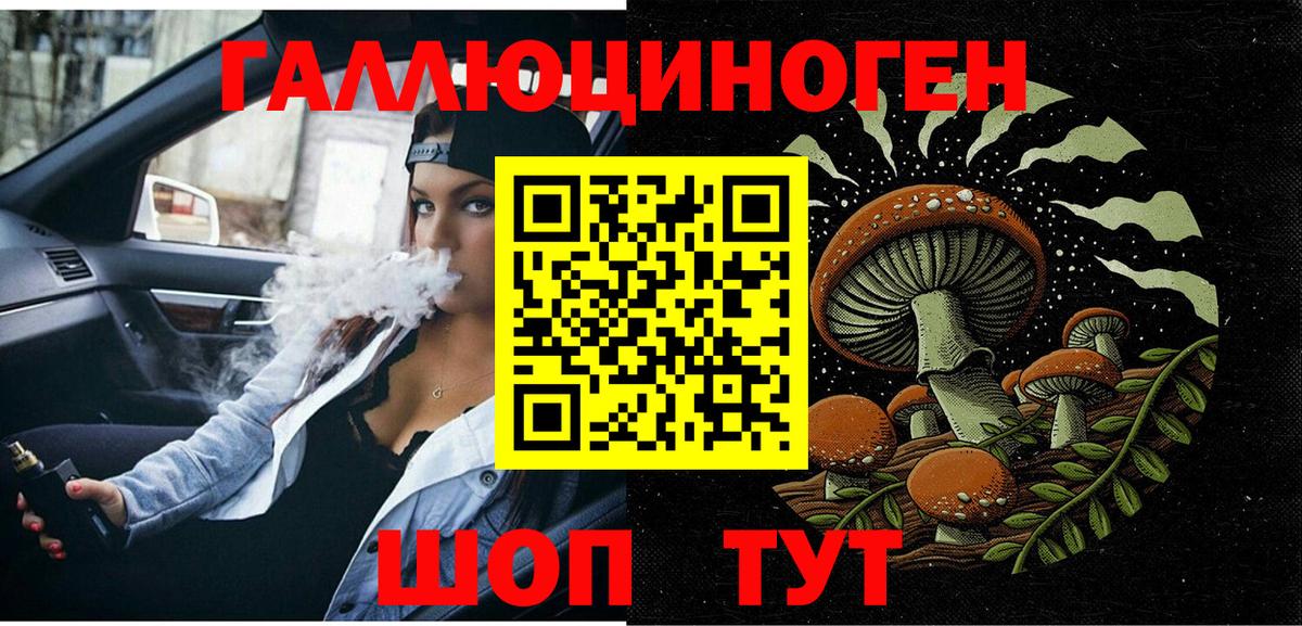 Галлюциногенные грибы Psilocybe  Галлюциногенные грибы мицелий  Ессентуки  Вход с VPN 